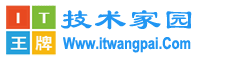 IT王牌技术家园